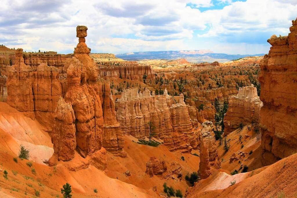Red Rock Ranch Log Cabin: Large, Fully Furnished إيسكالانتي المظهر الخارجي الصورة